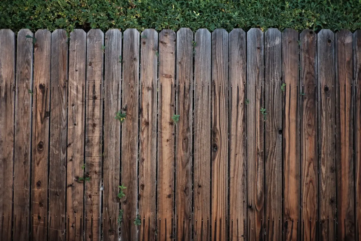 Cedar picket fence