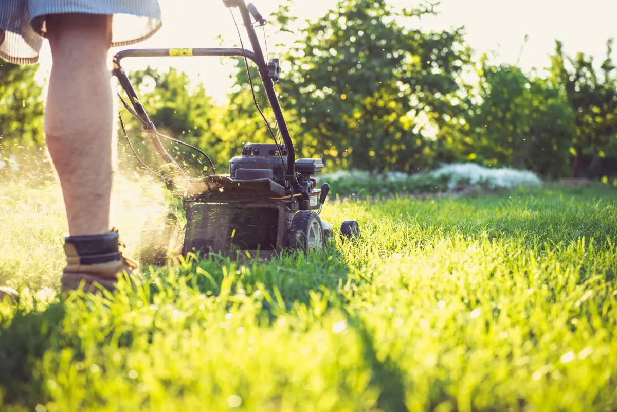 A mower on a striped lawn