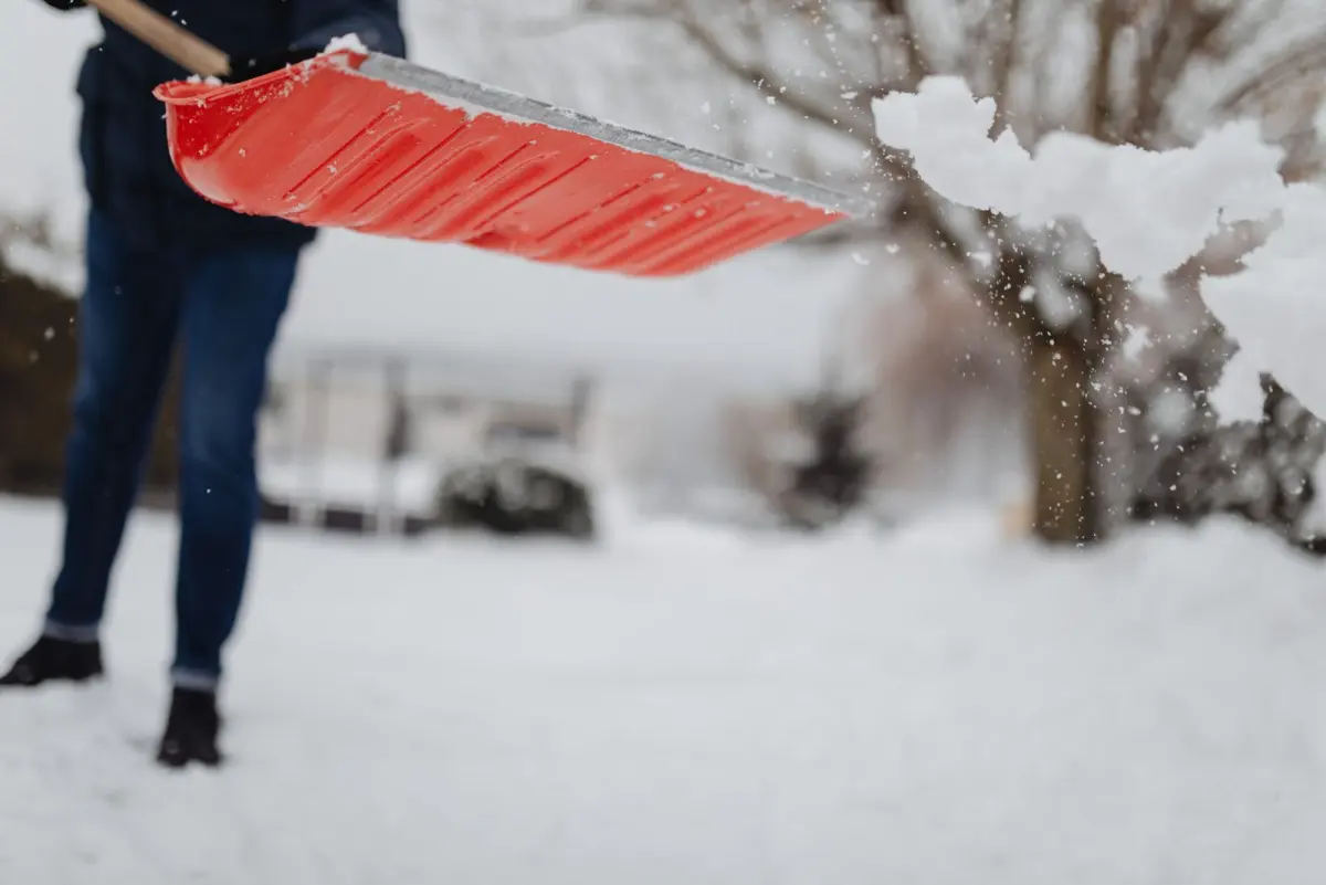 A cleared driveway in snow
